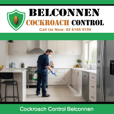 Pest control technician spraying cockroach treatment along kitchen cabinets in Belconnen home